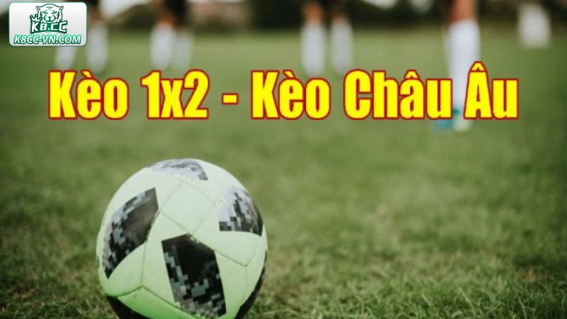 Cách Đọc Kèo Bóng Đá Dễ Hiểu Dành Cho Tân Cược Thủ K8CC 3 Hướng dẫn đọc kèo châu Âu trong tích tắc